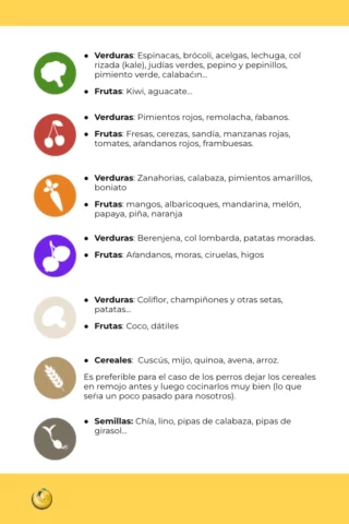 guia img2 alimentos 780 Neus Nutricionista Canina