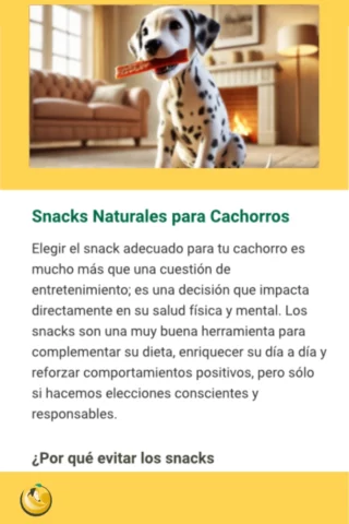 la salud bucal, limpieza dental y los masticables son clave par que el cachorro se convierta en un adulto sano.